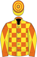 Go Go Boots silks