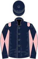 Grand Grey silks
