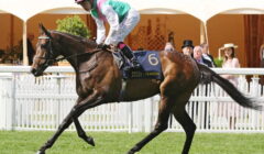 Hardwicke Stakes 2025 Preview – Runners Guide as Older Horses Race on Royal Ascot Final Day featured image