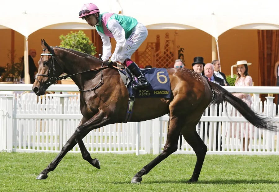 Hardwicke Stakes 2025 preview