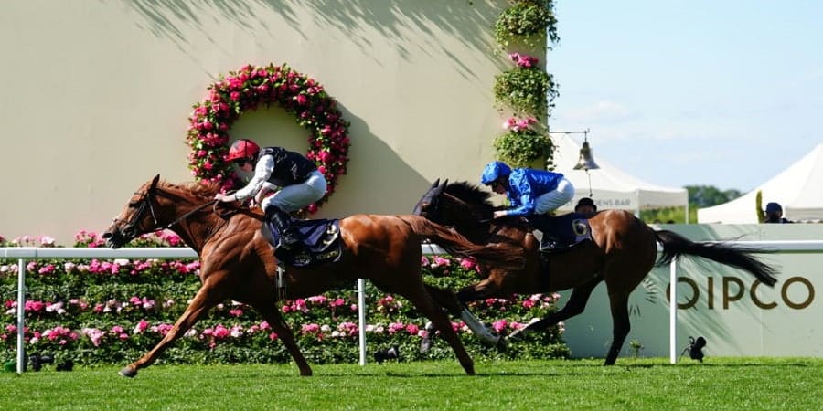 Ascot Gold Cup 2025 preview