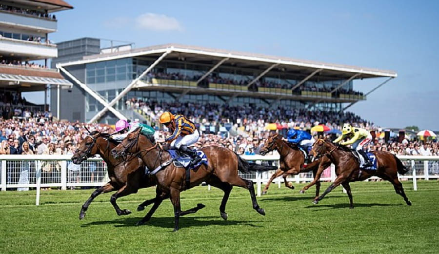 Queen Anne Stakes 2025 preview
