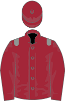 Prince Faisal silks