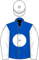 Nightime Dancer silks