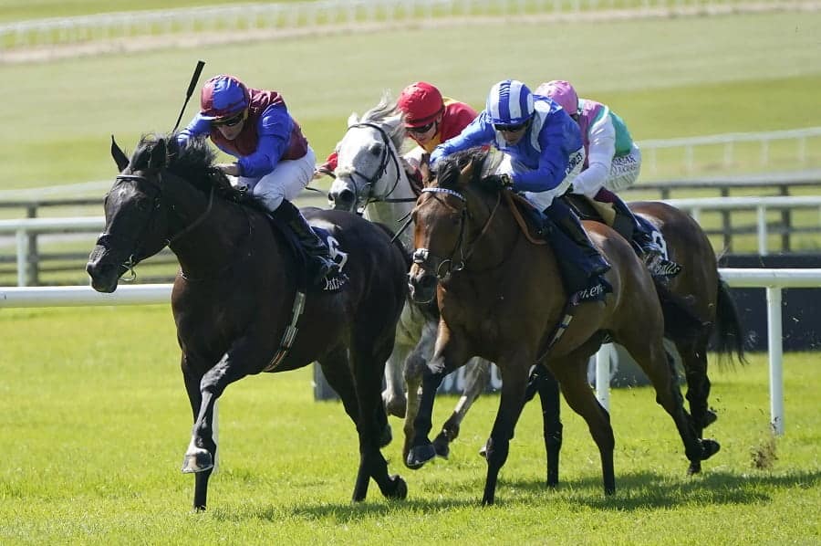 Prince Of Wales Stakes 2025 preview