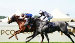 Ribblesdale Stakes 2025 Preview – Runners Guide to Royal Ascot’s Version of The Oaks featured image