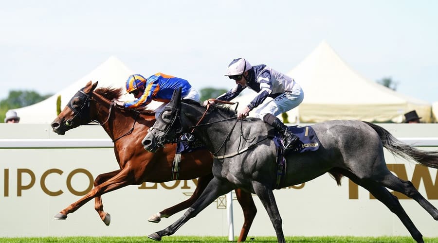Ribblesdale Stakes 2025 preview