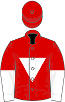 Rogues Gallery silks