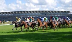 Royal Ascot Day 3 2025 Preview – Get the Lowdown on Gold Cup Thursday featured image