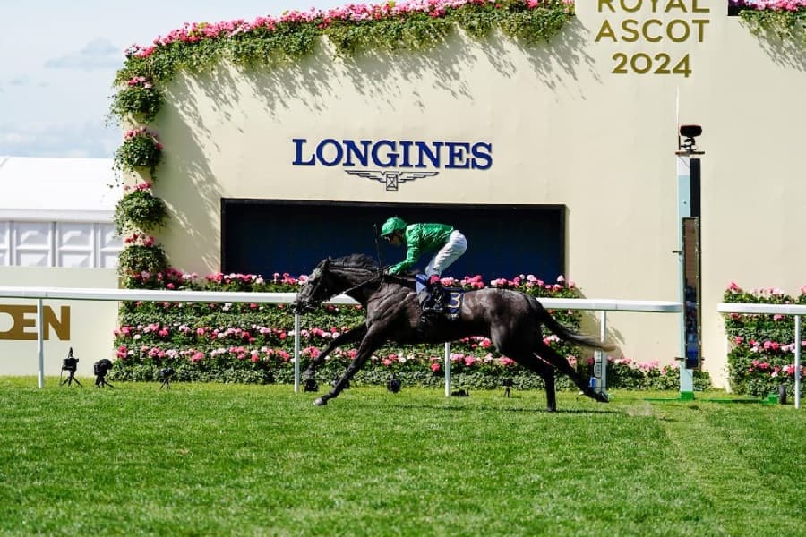 Duke Of Cambridge Stakes 2025 preview