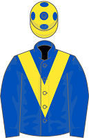 Saeed Suhail silks