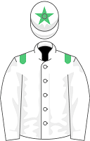Team Green silks