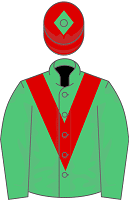 Team Valor silks