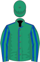 Urban Lion silks