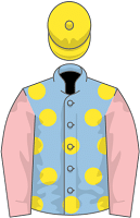 Yashin silks