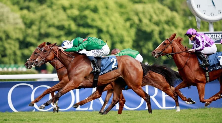 Coronation Stakes 2025 preview