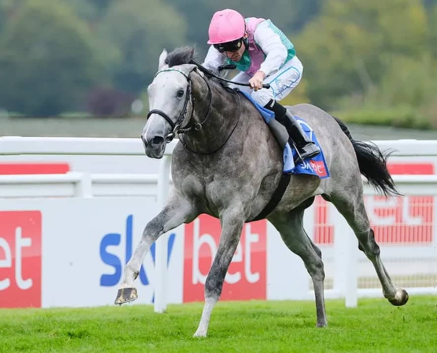 Glorious Goodwood 2025 day 2 preview features Field Of Gold