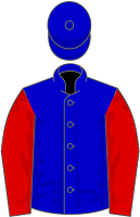 Goblet Of Fire silks