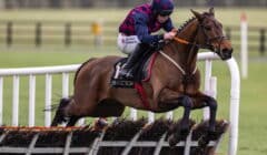 Galway Hurdle 2025 Preview – Ndaawi Out to Go One Better in Ballybrit Ladies Day Feature featured image