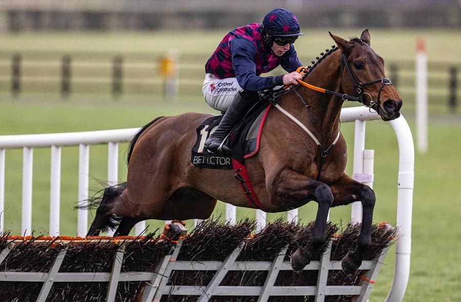 Galway Hurdle 2025 preview featuring Ndaawi