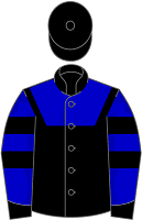 Resolute Bloodstock silks