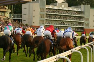 Sandown Coral Eclipse