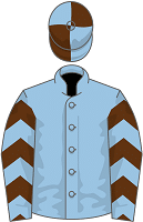 Statuario silks
