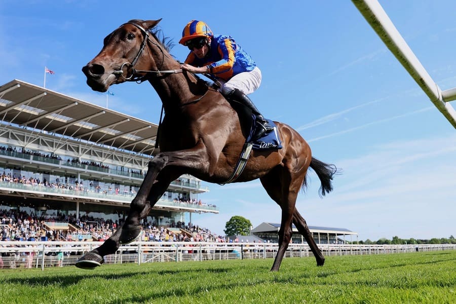 Glorious Goodwood 2025 day 3 preview featuring Whirl