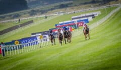 Haydock, Newmarket & Curragh Races Preview for 9 August – Four Group Races Across British Isles featured image