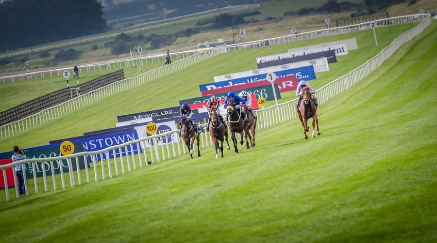 Haydock Newmarket Curragh races preview 9 August