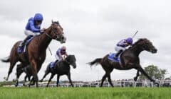 Ebor Festival 2025 Day 1 Preview – Juddmonte International & Great Voltigeur Kick Off York Gala featured image