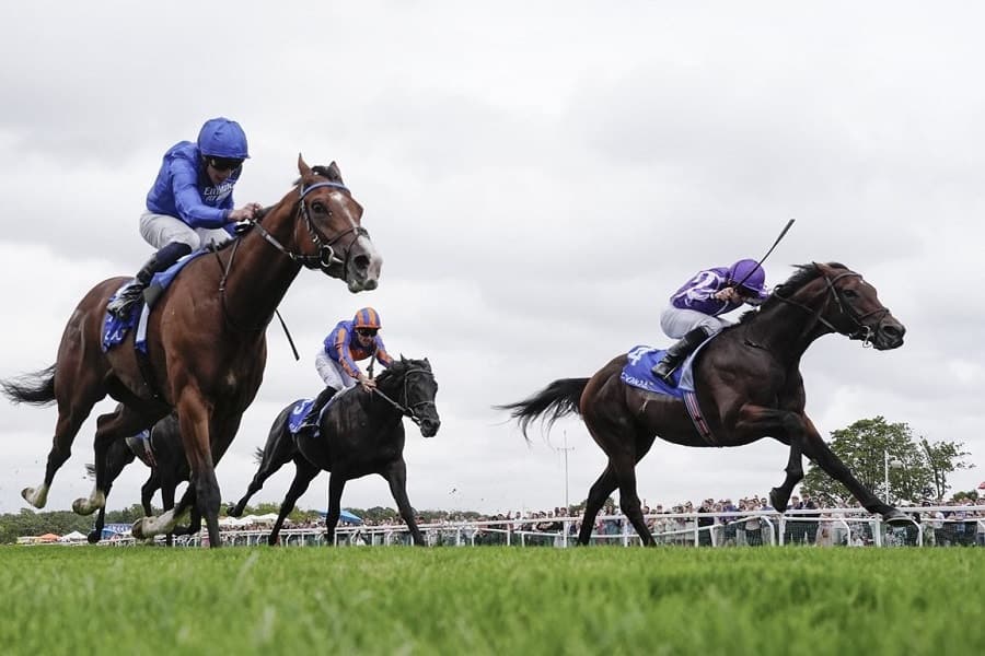 Ebor Festival 2025 day 1 preview features Delacroix and Ombudsman