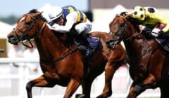 Prix Jacques Le Marois 2025 Preview – Runners Guide as Strong Overseas Challenge in Deuaville Group 1 Mile featured image