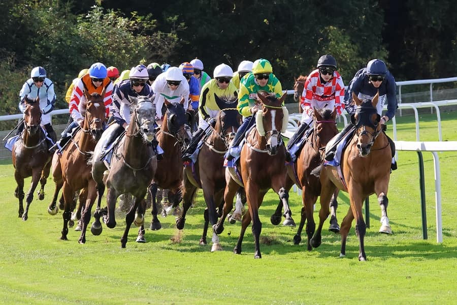 Ebor Festival 2025 day 4 preview features the Ebor Handicap
