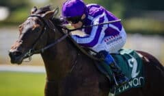 Prix Morny 2025 Preview – Runners Guide to Juvenile Race of the Season at Deauville featured image