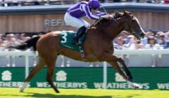 Ebor Festival 2025 Day 2 Preview – Minnie Hauk Poised for Yorkshire Oaks Swoop featured image