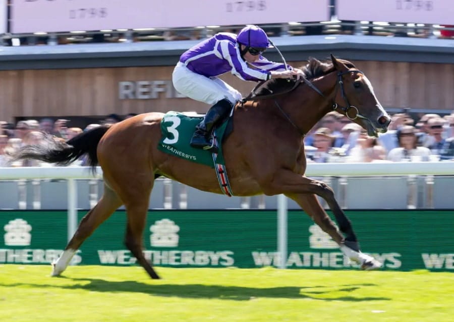 Ebor Festival 2025 day 2 preview featuring Minnie Hauk