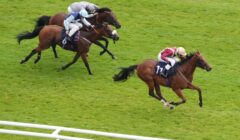 Curragh & Newbury Races Preview for 16 August – Royal Whip & Hungerford Stakes Headline Cards featured image