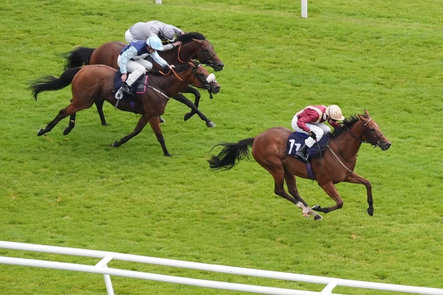 Newbury races preview 16 August