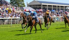 Ebor Festival 2025 Day 3 Preview – Nunthorpe Stakes for All Ages Headlines York Friday Fixture featured image
