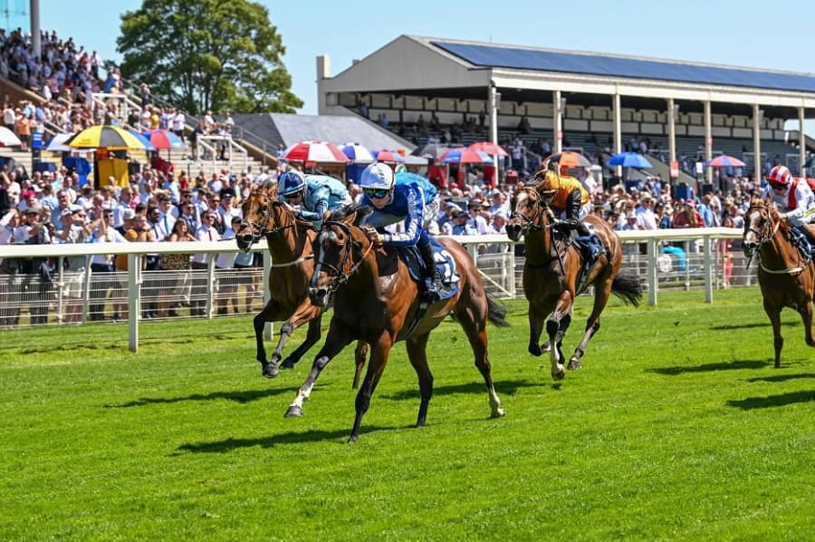 Ebor Festival 2025 day 3 preview includes the Nunthorpe Stakes