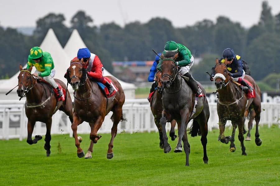 Sandown races preview for 30 August