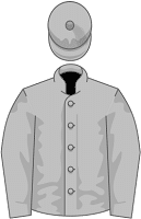 Sheikh Hamdan bin Mohammed Al Maktoum silks