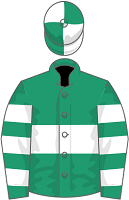Tadej silks