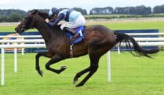 Irish Champions Festival Curragh Races Preview – Irish St Leger Among Four Group 1s on Sunday Card featured image