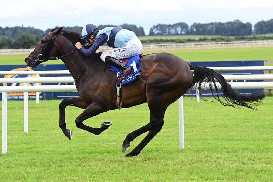 Irish Champions Festival Curragh races preview