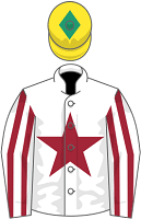 Buddy One silks