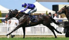 St Leger 2025 Preview – Runners Guide to Final Classic of Season at Doncaster featured image