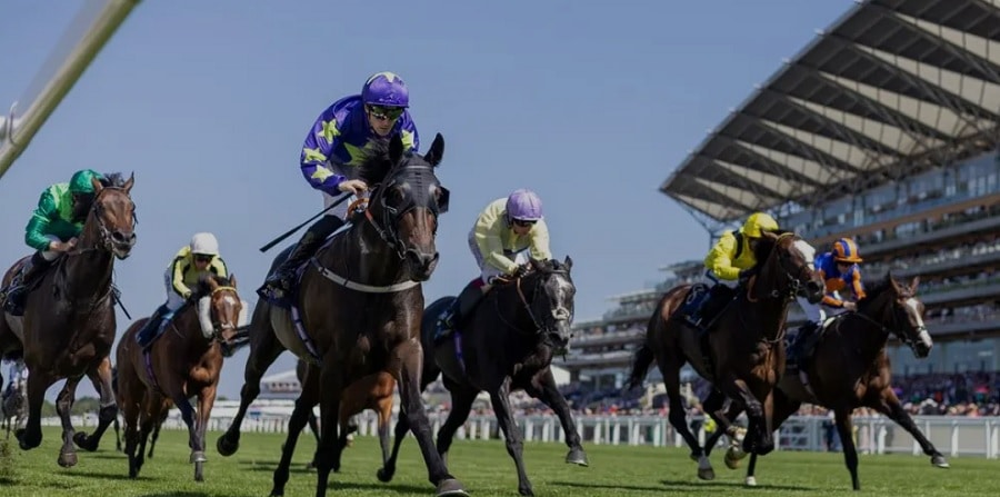 Doncaster St Leger Festival 2025 day 3 preview