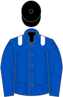 Shadwell Estate 2nd silks